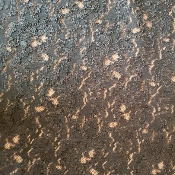 Coldwater Creek Fully Lined Lace Top (sz 2x) - Picture 2 of 5